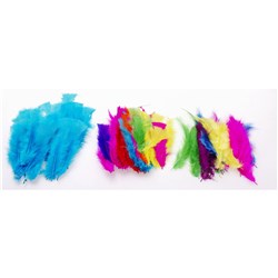 JASART FEATHERS SMALL Astd Colours Pk 51 