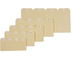 ESSELTE SHIPPING TAGS SIZE 2 40x82mm Box of 1000